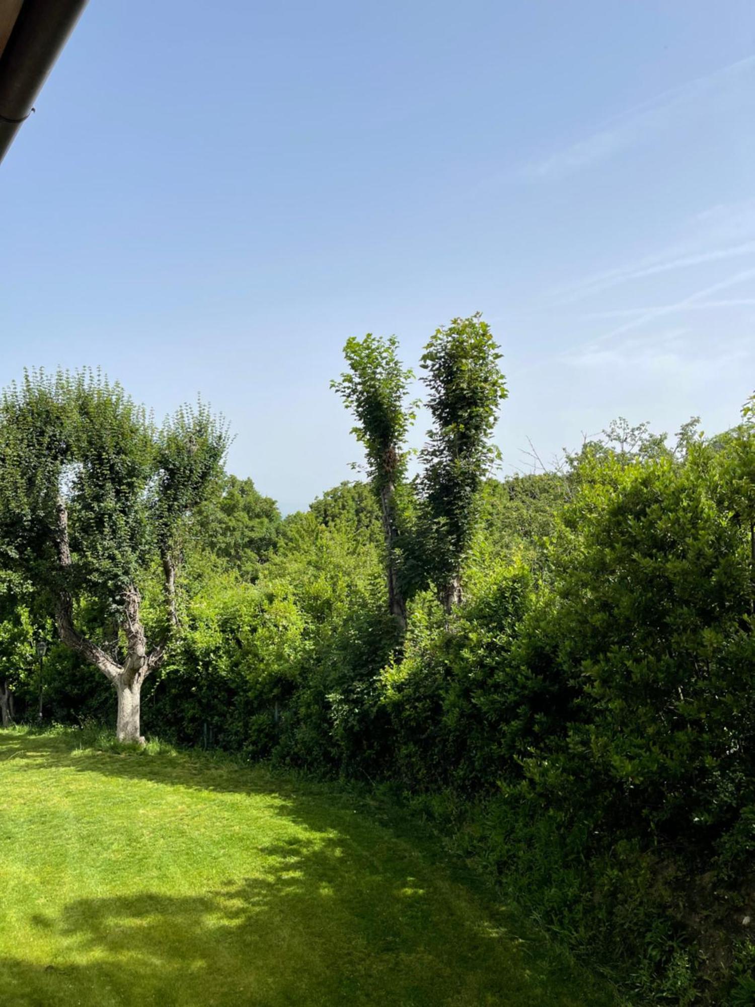 L' Aia Del Principe Villa Montepulciano Stazione Dış mekan fotoğraf