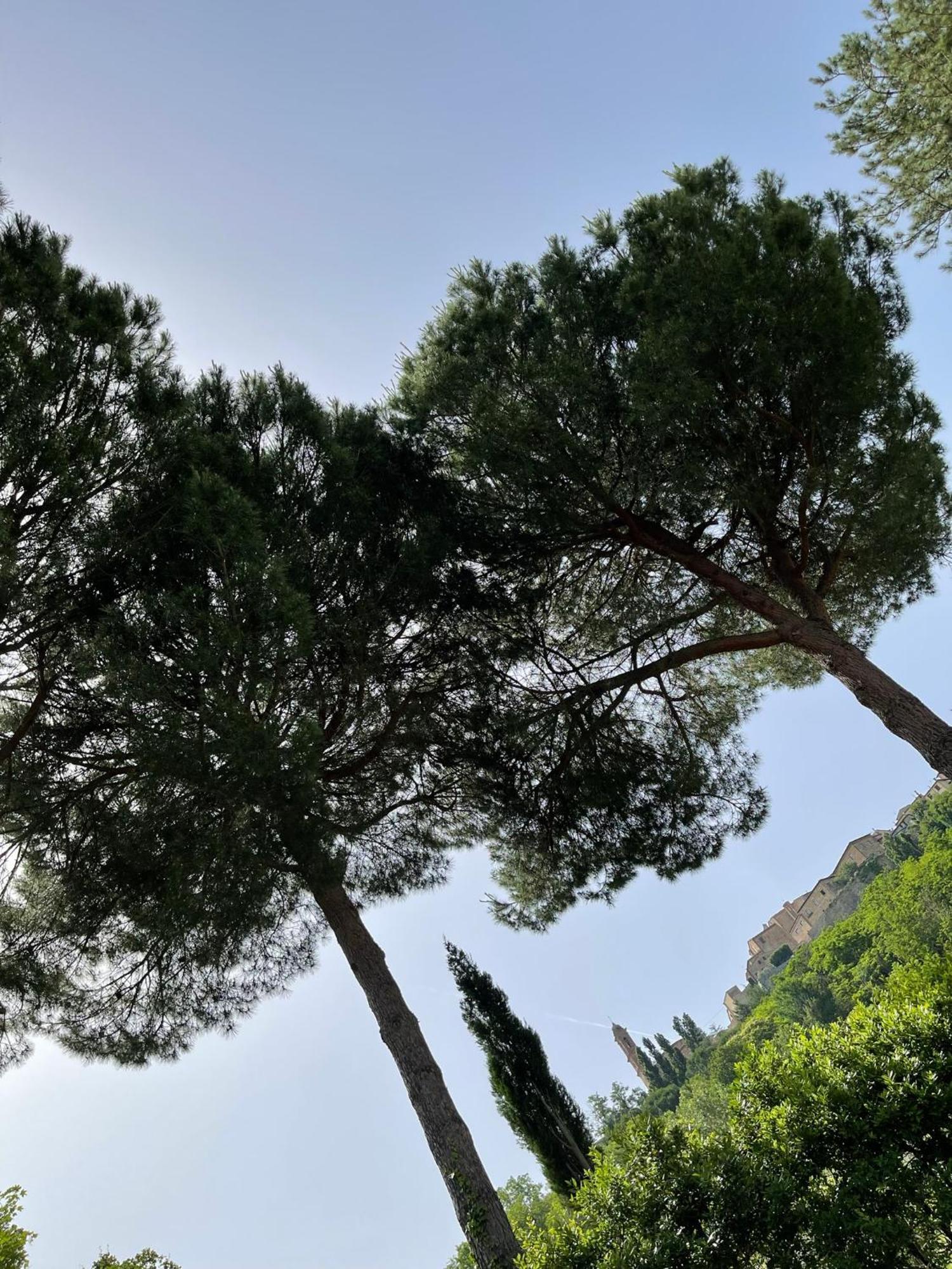 L' Aia Del Principe Villa Montepulciano Stazione Dış mekan fotoğraf